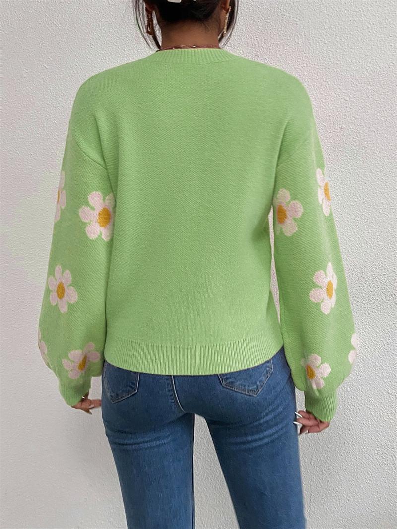 1 pcs women sweater